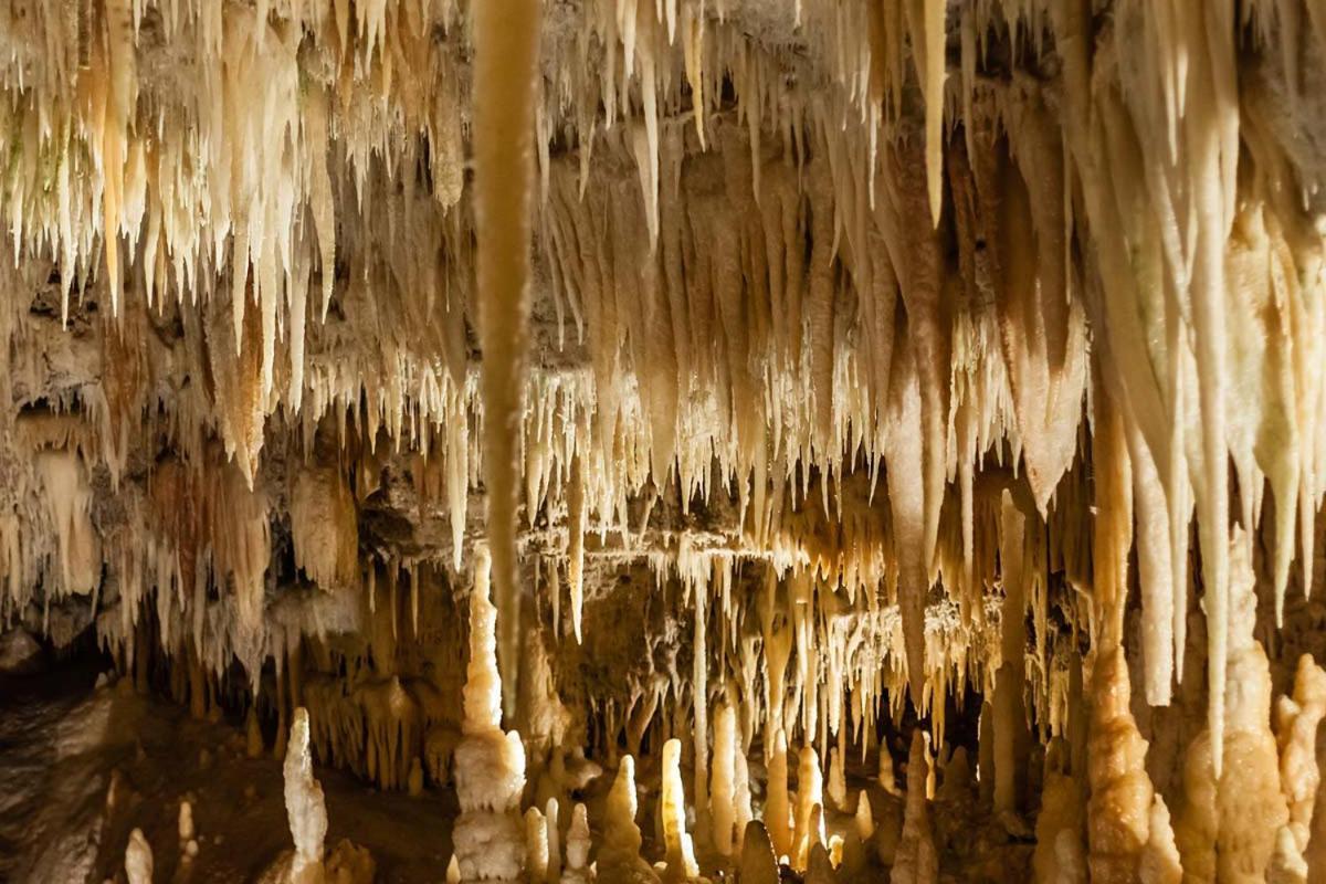 Hotel Casa di Sofia Castellana Grotte Esterno foto